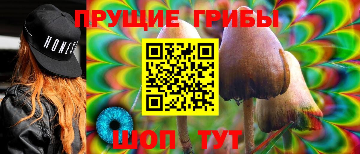 Псилоцибиновые грибы MAGIC MUSHROOMS  Вход с VPN  Карачаевск  Галлюциногенные грибы GOLDEN TEACHER 
